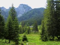 Oberland Yosemite, ganzjährig wegen Artenschutz gesperrt