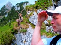wo sind nur die Steinböcke?